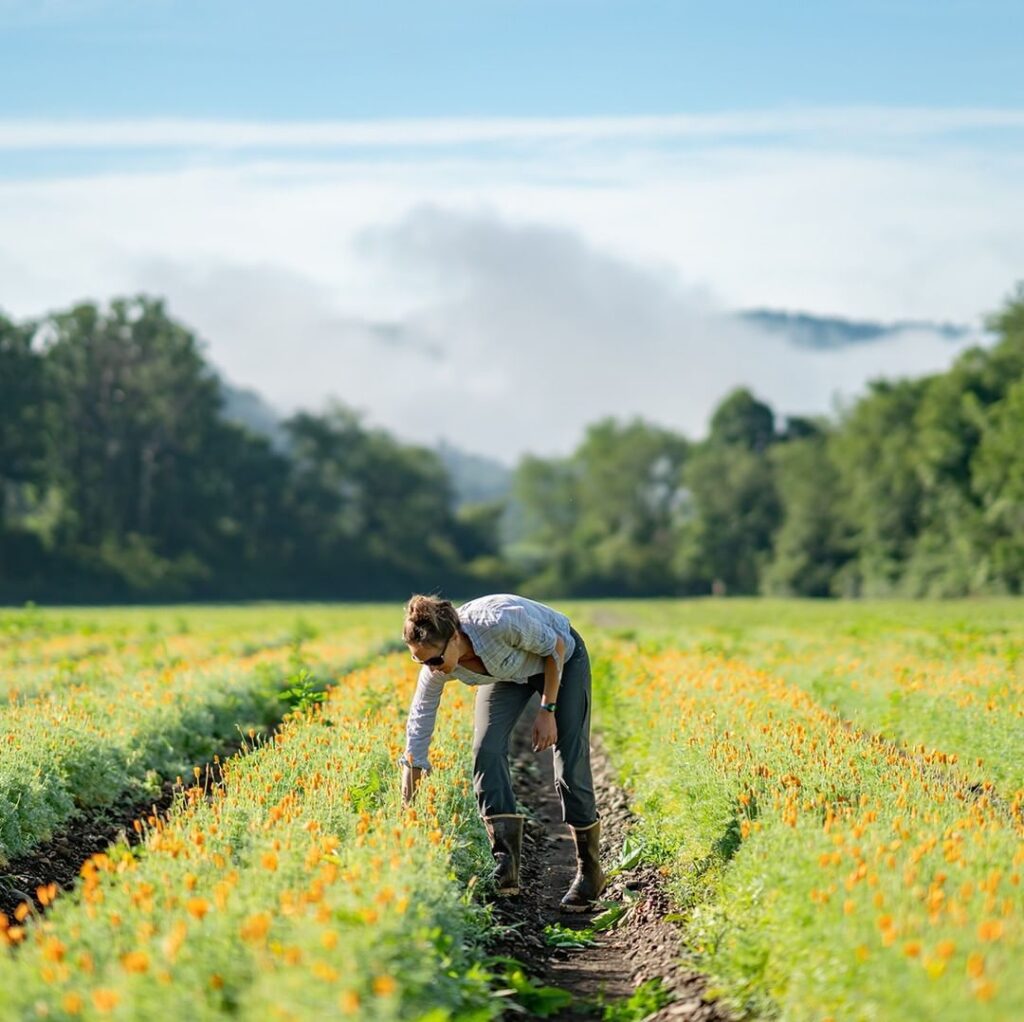 Farms Assistant Job in New Zealand